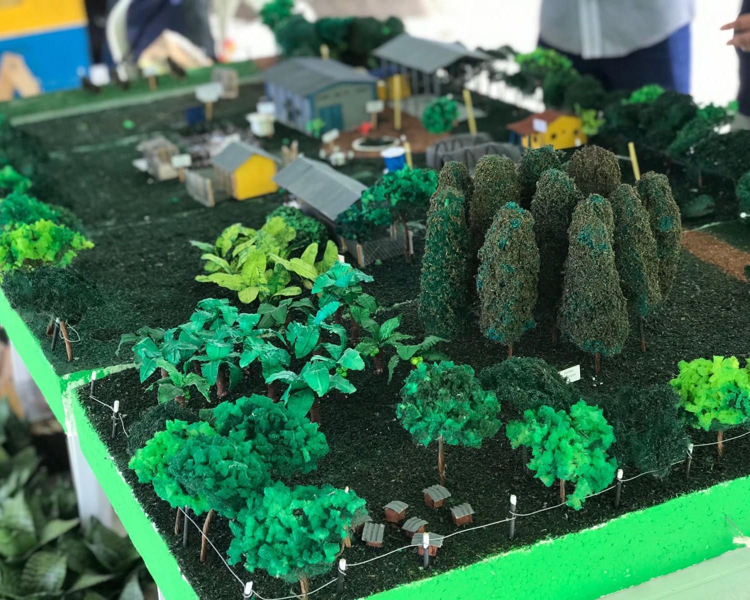 Durante o evento, a maquete que ilustra o espaço do Campus Rural ficou em exposição para que o público pudesse conhecer o ambiente. Foto: arquivo pessoal