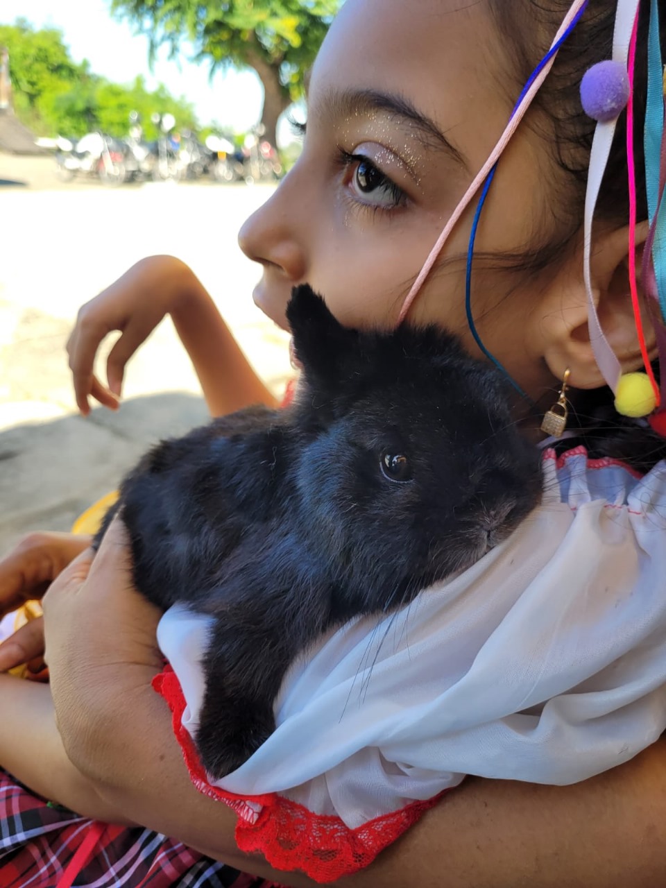 Foto: Núcleo de Estudos em Cunicultura