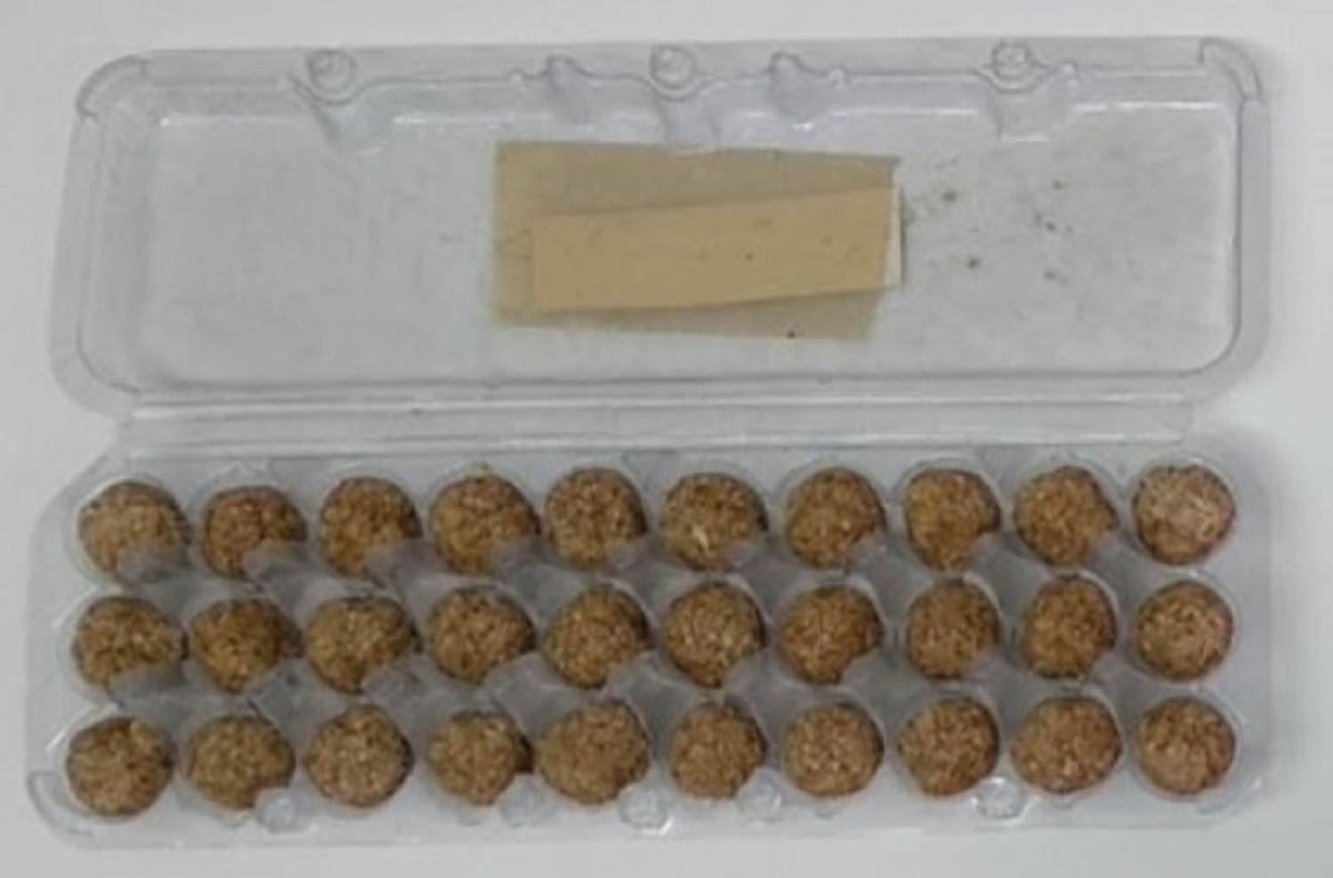 Foto no laboratório durante a análise do quibe de carne de coelho.  (Foto: NEC)