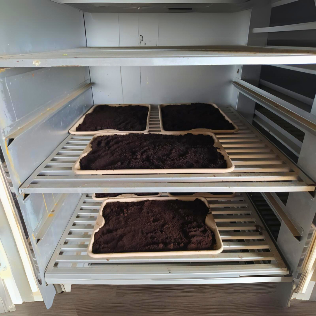 Foto enviada para ASCOMCCAA / Café