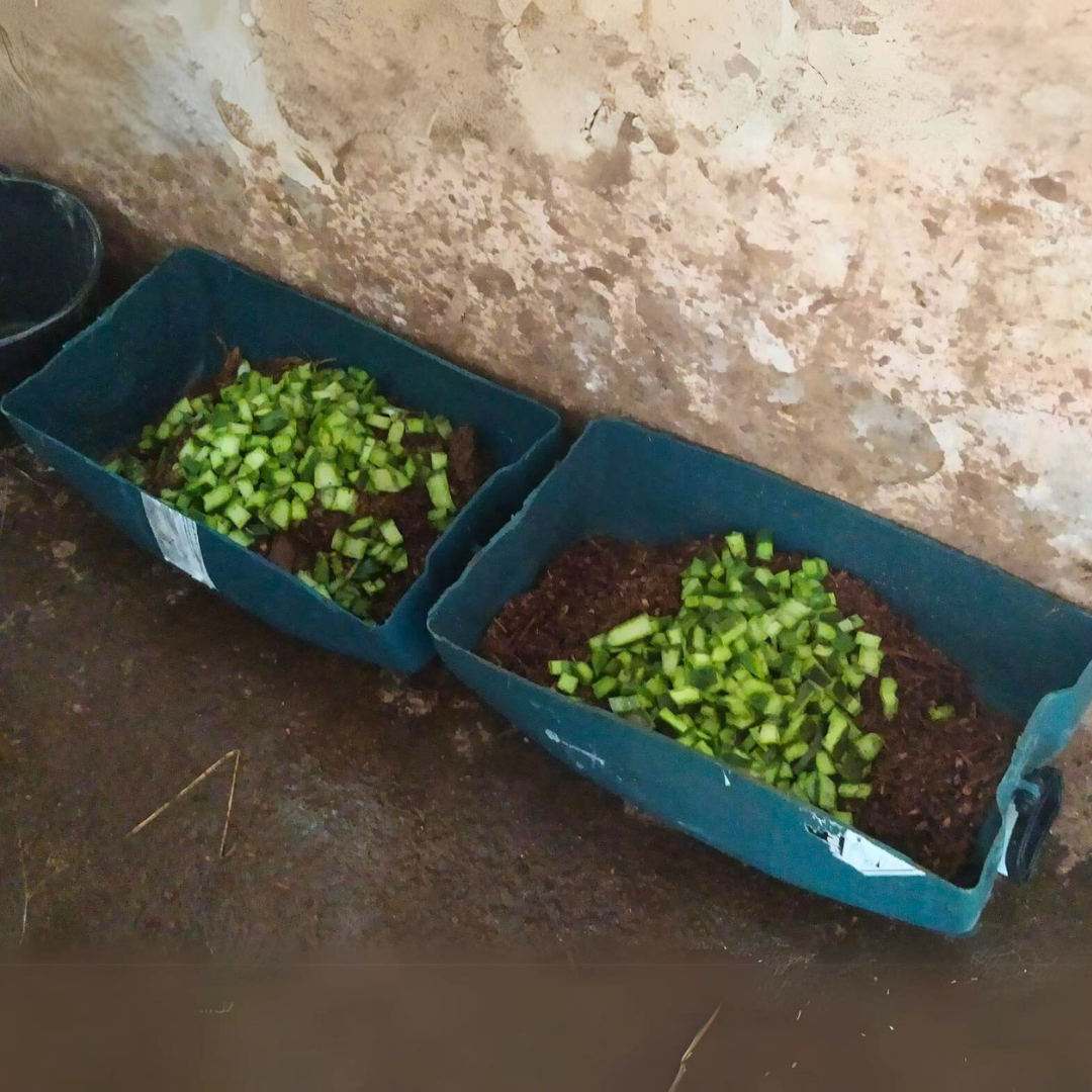 Foto enviada para ASCOMCCAA / Alimentação