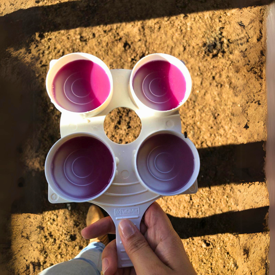 Foto enviada para ASCOMCCAA / Teste