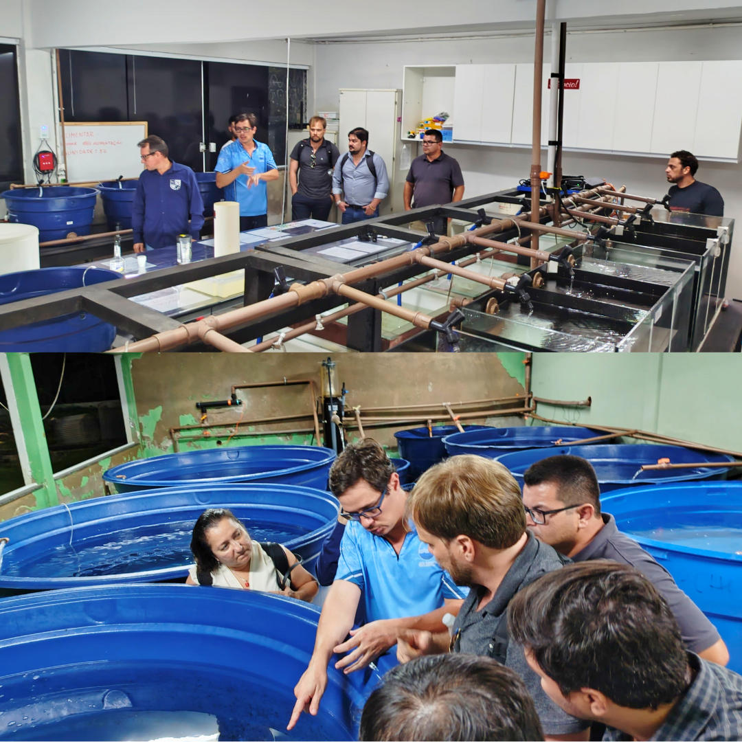 Visita técnica conhecendo as estruturas físicas do curso de engenharia de pesca do IFES. 