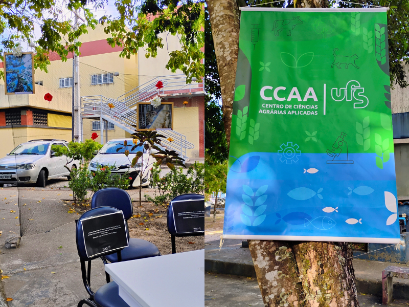 Decoração do Sarau CCAA / Foto: Maria Victoria Souza lima DZO