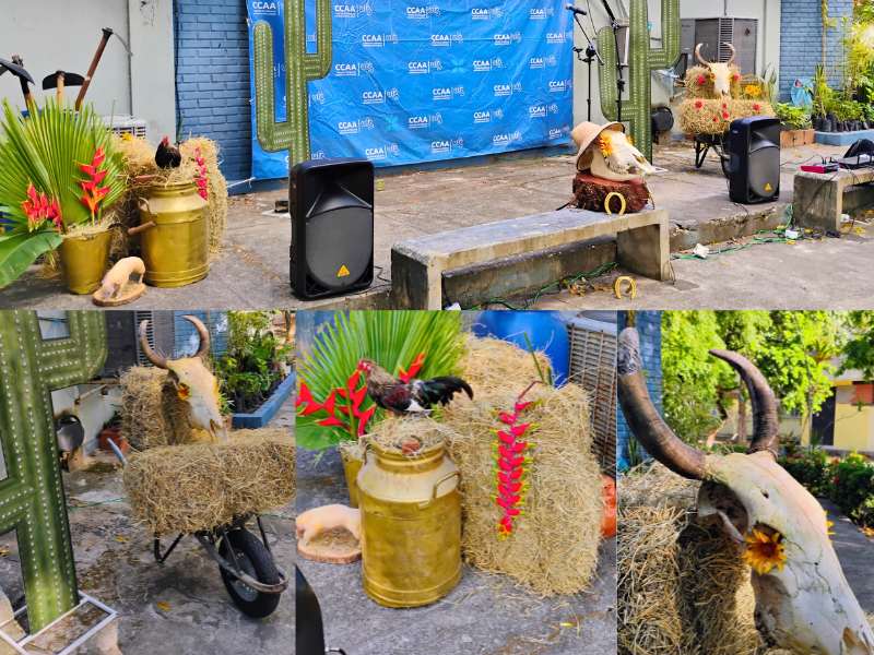 Decoração do Sarau CCAA / Foto: Maria Victoria Souza lima DZO