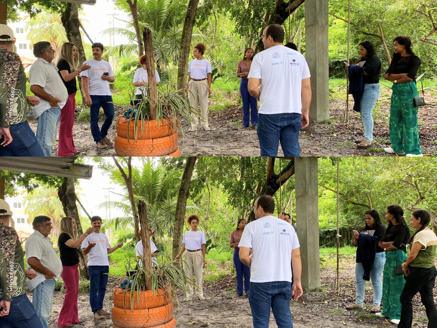 Foto: Ana Beatriz de Oliveira França & Zenilde Maria Rodrigues Santos (Alunas da Zootecnia)