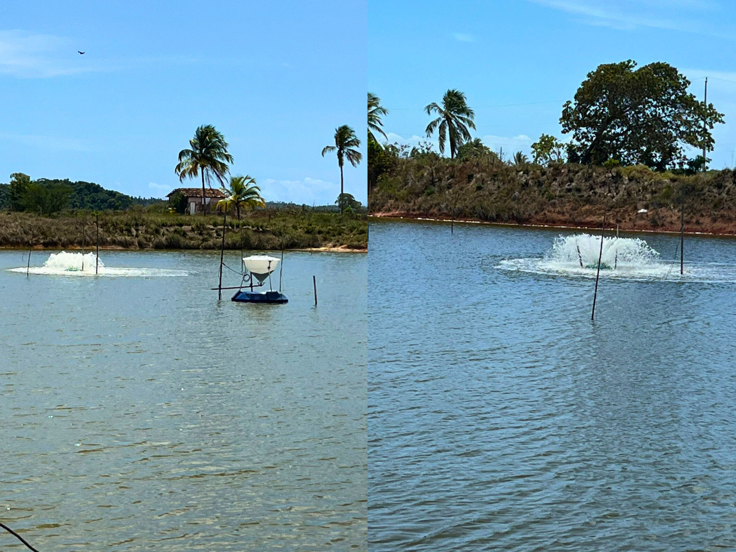 Fotos enviadas via aplicativo de celular / ASCOM CCAA