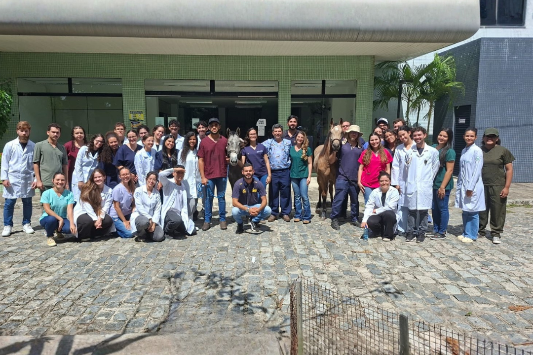 Avanço histórico na Medicina Veterinária (Foto enviada via app de celular)