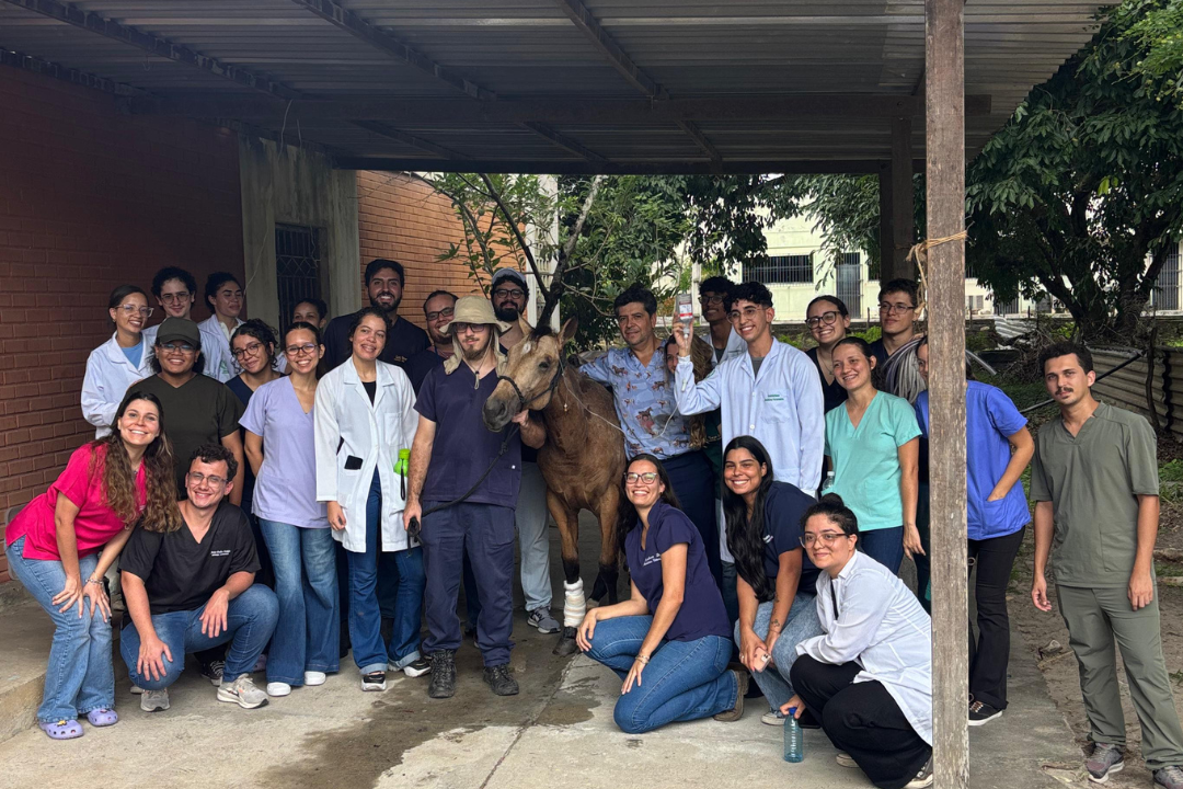 Avanço histórico na Medicina Veterinária (Foto enviada via app de celular)