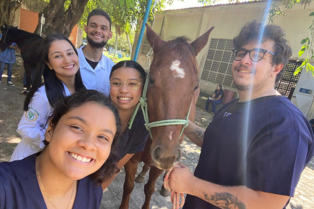 Avanço histórico na Medicina Veterinária (Foto enviada via app de celular)