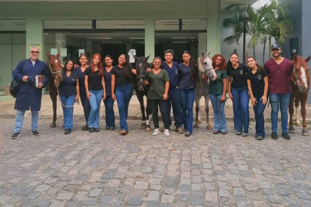 Avanço histórico na Medicina Veterinária (Foto enviada via app de celular)