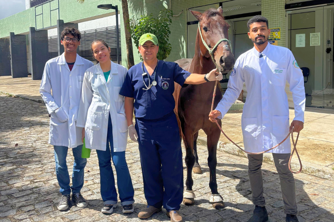 Avanço histórico na Medicina Veterinária (Foto enviada via app de celular)