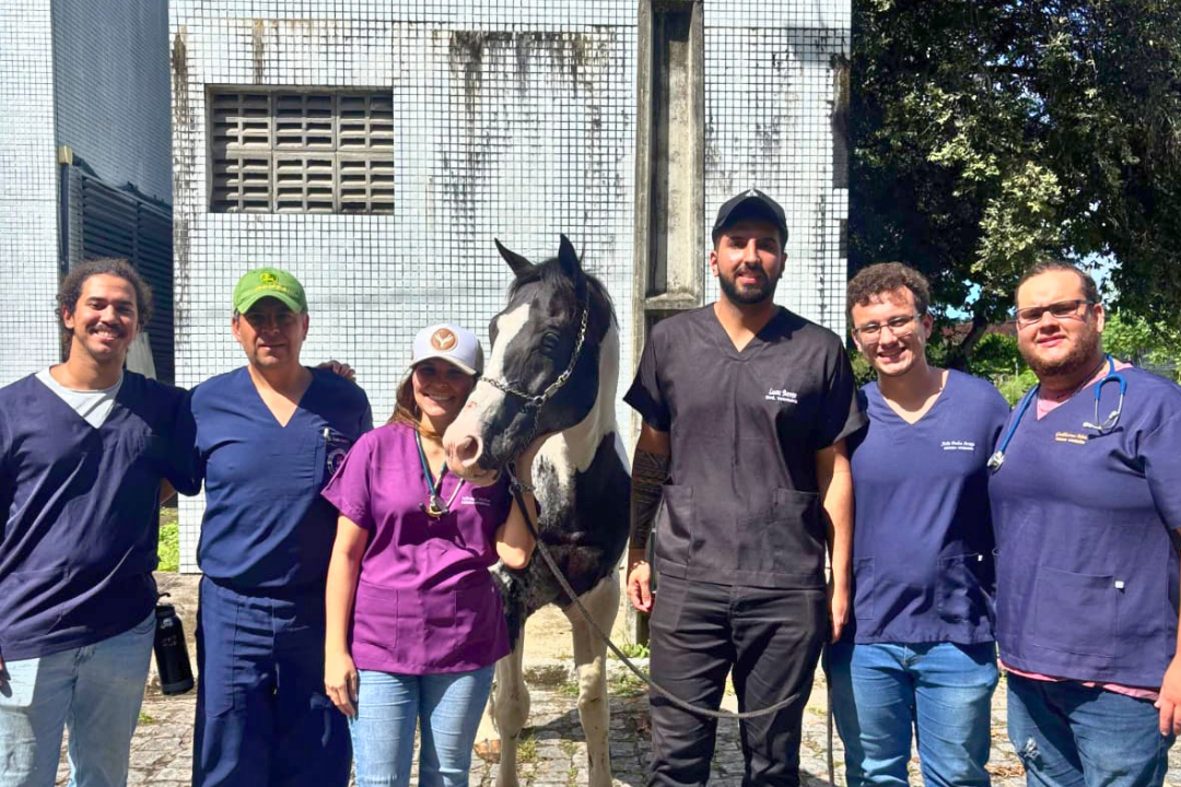 Avanço histórico na Medicina Veterinária (Foto enviada via app de celular)