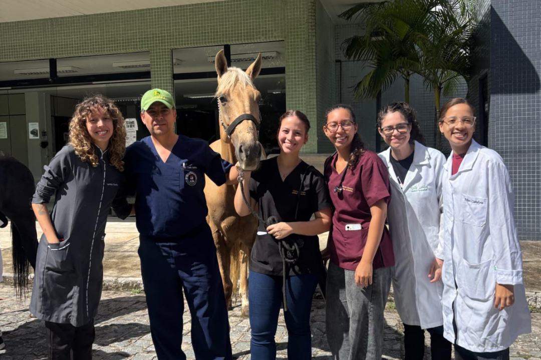 Avanço histórico na Medicina Veterinária (Foto enviada via app de celular)