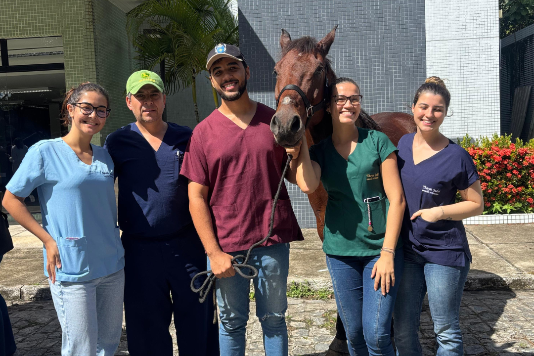 Avanço histórico na Medicina Veterinária (Foto enviada via app de celular)