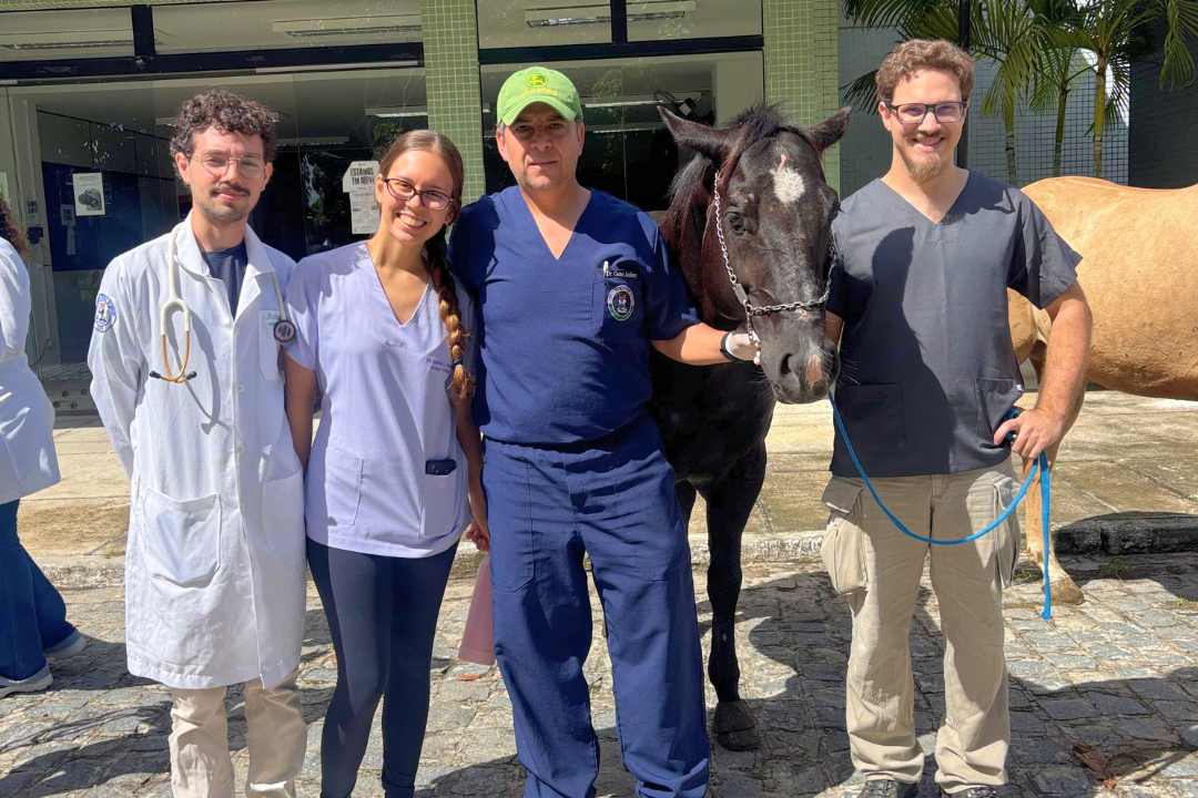 Avanço histórico na Medicina Veterinária (Foto enviada via app de celular)